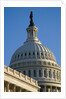 Capitol Building by Anonymous