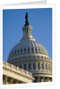 Capitol Building by Anonymous