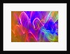 Colored Lights by Anonymous