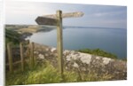 Direction Sign on Path Above Start Bay in Devon by Anonymous