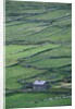 Cottage and Farm at Garraun Point by Anonymous