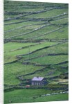 Cottage and Farm at Garraun Point by Anonymous