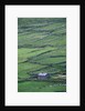 Cottage and Farm at Garraun Point by Anonymous