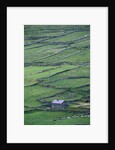 Cottage and Farm at Garraun Point by Anonymous