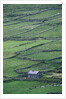 Cottage and Farm at Garraun Point by Anonymous