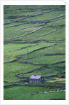 Cottage and Farm at Garraun Point by Anonymous