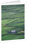 Cottage and Farm at Garraun Point by Anonymous