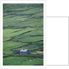 Cottage and Farm at Garraun Point by Anonymous