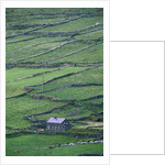 Cottage and Farm at Garraun Point by Anonymous