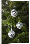 Mirrored Christmas Ornaments on Christmas Tree by Anonymous