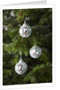Mirrored Christmas Ornaments on Christmas Tree by Anonymous