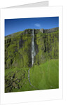 Drifandi Waterfall and Moss-Covered Cliff by Anonymous