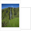 Drifandi Waterfall and Moss-Covered Cliff by Anonymous