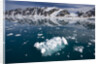 Bergy Bits Near Spitsbergen Island by Anonymous