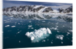 Bergy Bits Near Spitsbergen Island by Anonymous