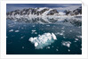 Bergy Bits Near Spitsbergen Island by Anonymous