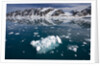 Bergy Bits Near Spitsbergen Island by Anonymous