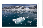 Bergy Bits Near Spitsbergen Island by Anonymous