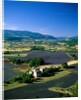 Lavender Fields and Green Valley by Anonymous
