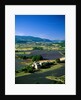 Lavender Fields and Green Valley by Anonymous