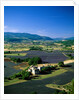 Lavender Fields and Green Valley by Anonymous
