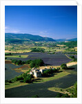 Lavender Fields and Green Valley by Anonymous