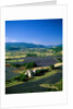 Lavender Fields and Green Valley by Anonymous