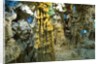 Inside Grotto of Thien Cung Cave by Anonymous