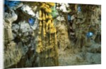 Inside Grotto of Thien Cung Cave by Anonymous