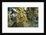 Inside Grotto of Thien Cung Cave by Anonymous