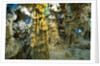 Inside Grotto of Thien Cung Cave by Anonymous