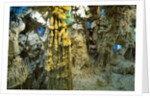 Inside Grotto of Thien Cung Cave by Anonymous