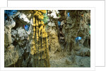 Inside Grotto of Thien Cung Cave by Anonymous