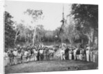 Overland Telegraph by Anonymous