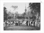 Overland Telegraph by Anonymous