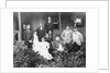 Governor of New South Wales visits Norfolk Island in 1884 by Anonymous