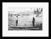 Hunter and Chinese Servant with Large Crocodile by Anonymous