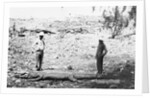 Hunter and Chinese Servant with Large Crocodile by Anonymous