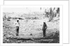 Hunter and Chinese Servant with Large Crocodile by Anonymous
