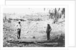 Hunter and Chinese Servant with Large Crocodile by Anonymous