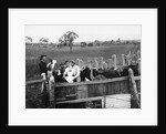 Ostrich Farm near Port Augusta, South Australia by Anonymous