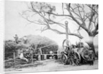 Australian Farmers at chaff cutting plant by Anonymous