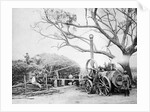Australian Farmers at chaff cutting plant by Anonymous