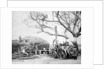 Australian Farmers at chaff cutting plant by Anonymous