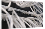 Computer Network Cables by Anonymous