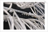 Computer Network Cables by Anonymous