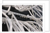 Computer Network Cables by Anonymous