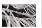 Computer Network Cables by Anonymous