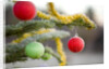 Christmas Ornaments on Tree Covered with Frost by Anonymous