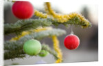 Christmas Ornaments on Tree Covered with Frost by Anonymous